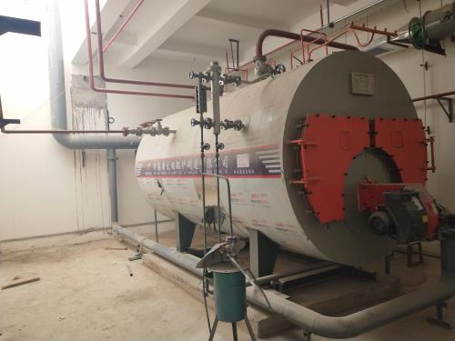 低氮30毫克燃气锅炉